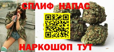индика Заволжье