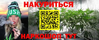 индика Заволжье