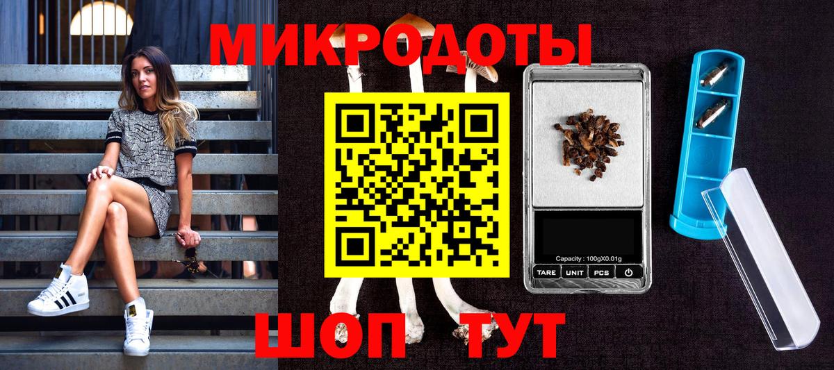 Галлюциногенные грибы мицелий  Вход с VPN  Кинель 